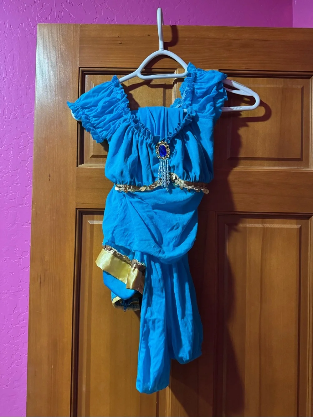 Jasmine Costume Dress with Gold Accents